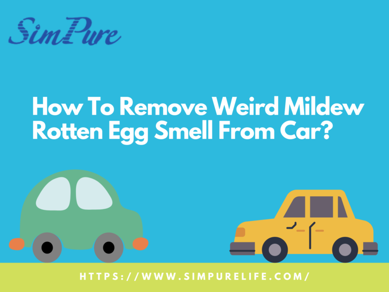 How To Get Rid of Rotten Egg Smell in Car