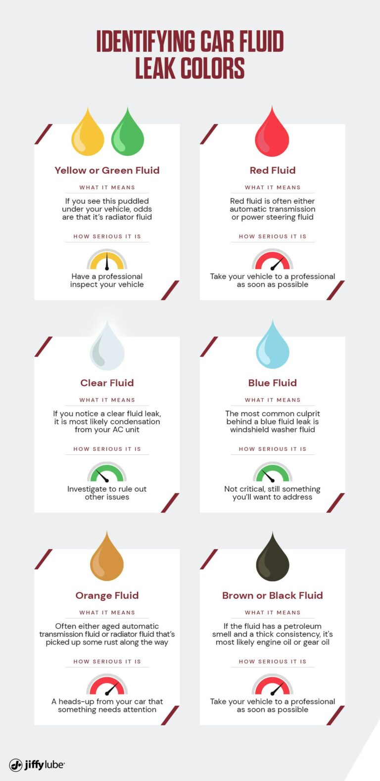 How to Get Rid of Water Leak Smell in Car