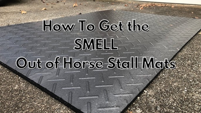 How To Get Rid Of Rubber Floor Mat Smell In Car