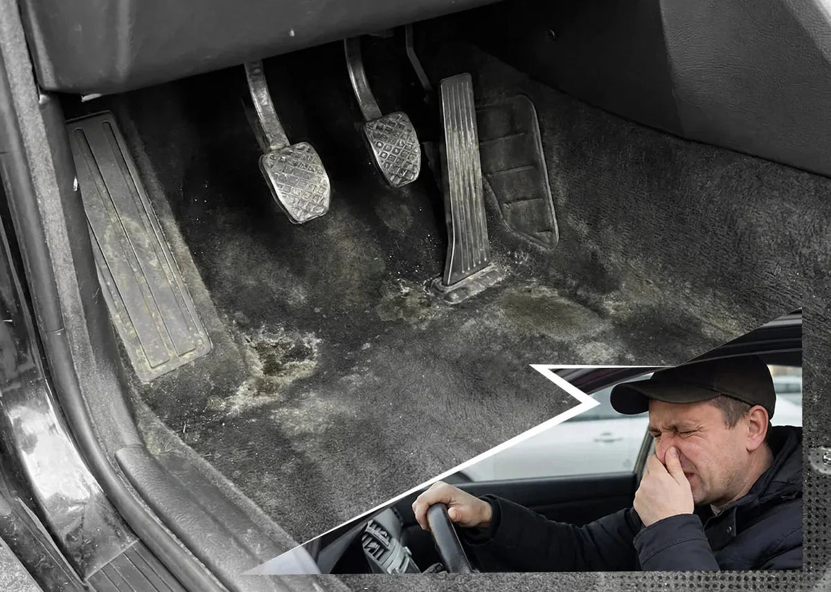 How to Get Mildew Smell Out of Car Carpet