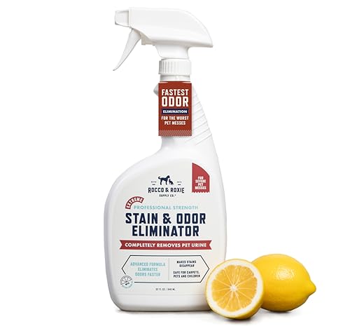 Best Pet Odor Eliminator For Car