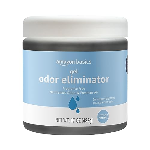 Best Strong Odor Eliminators