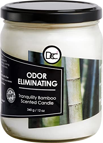 Best Candles To Remove Odors