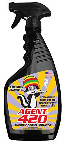 best odor eliminator for weed smell
