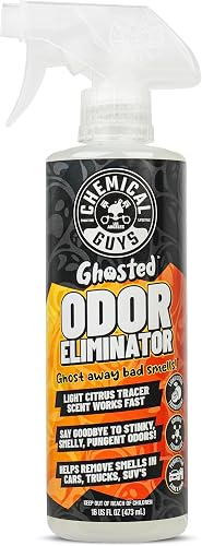 Best Car Carpet Odor Eliminators for Fresh Interiors