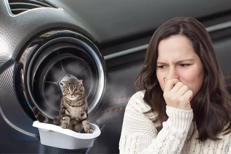AC Smells Like Cat Pee