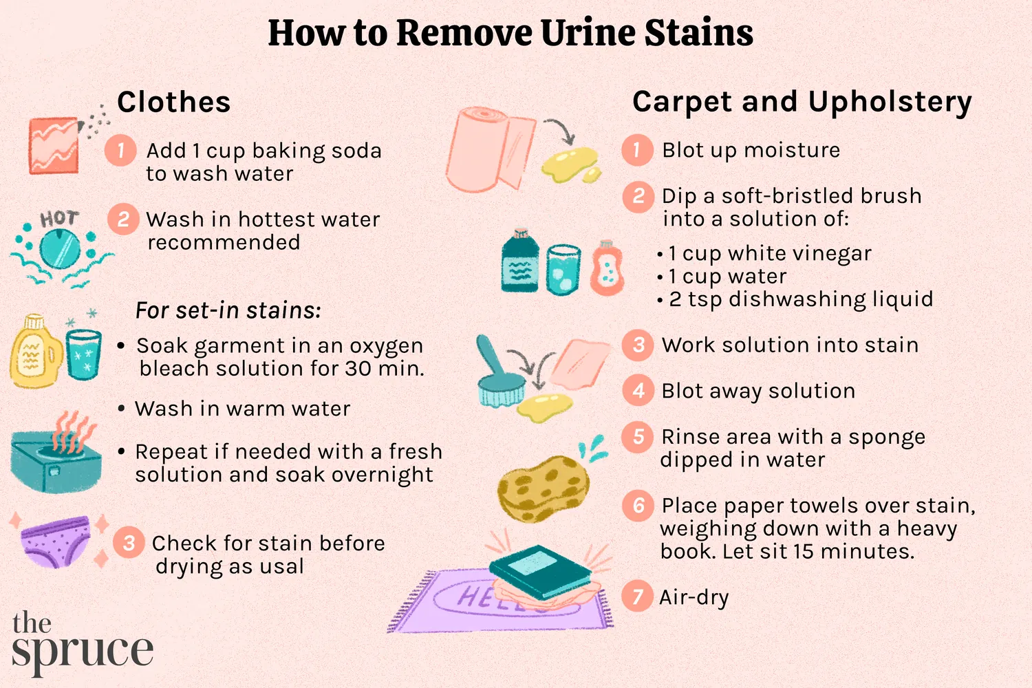 How to Remove Human Urine Smell From Couch